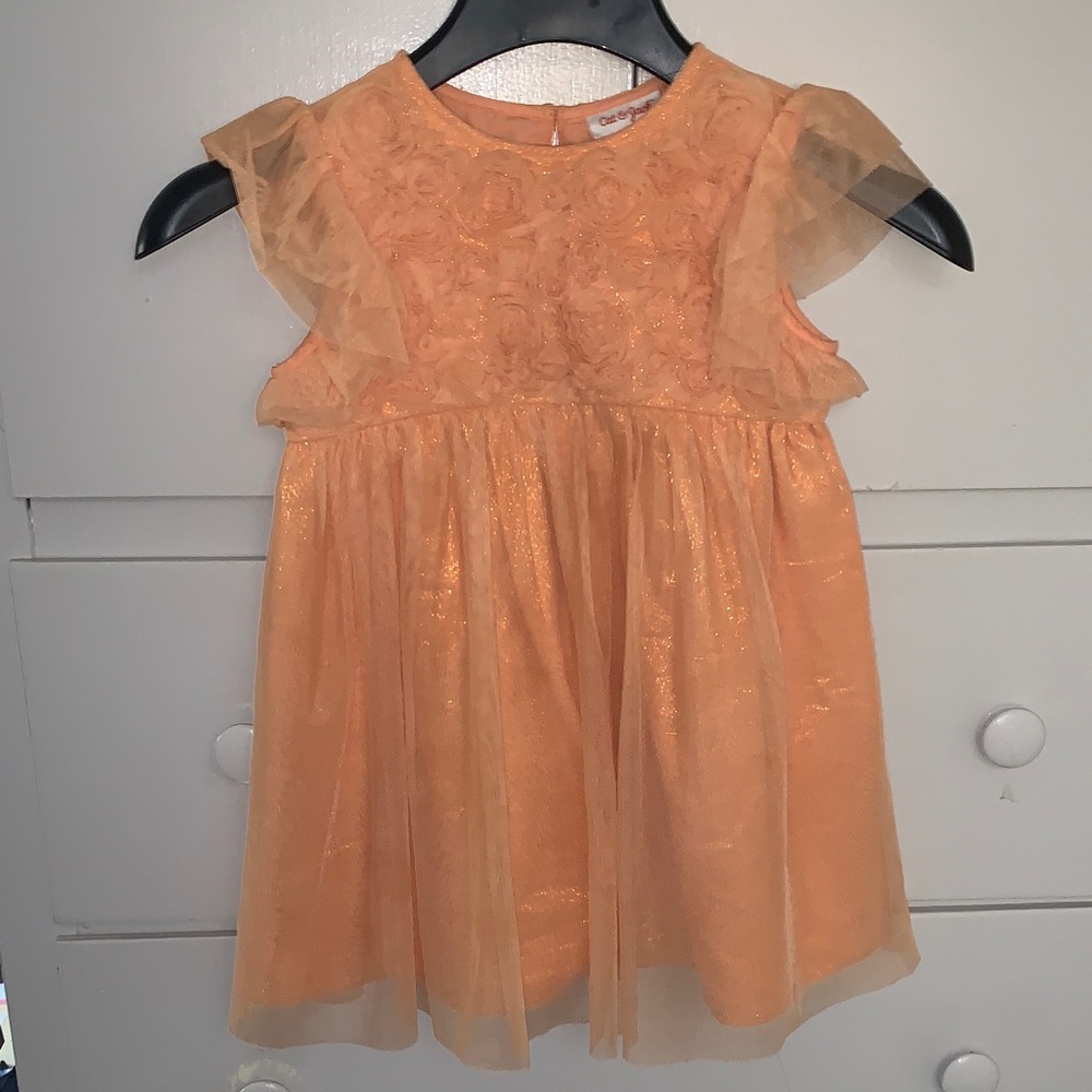 Cat & Jack Peach Glitter Tulle Party Dress